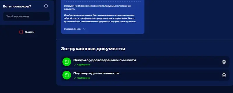 Статус верификации в личном кабинете Fugu Casino — зелёная галочка Верифицирован